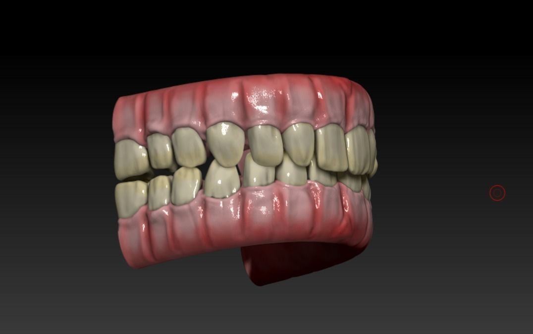 Teeth human mouth with Low-poly 3D model_2