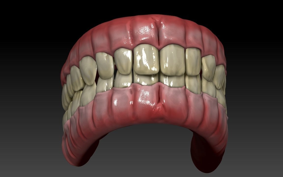 Teeth human mouth with Low-poly 3D model_1