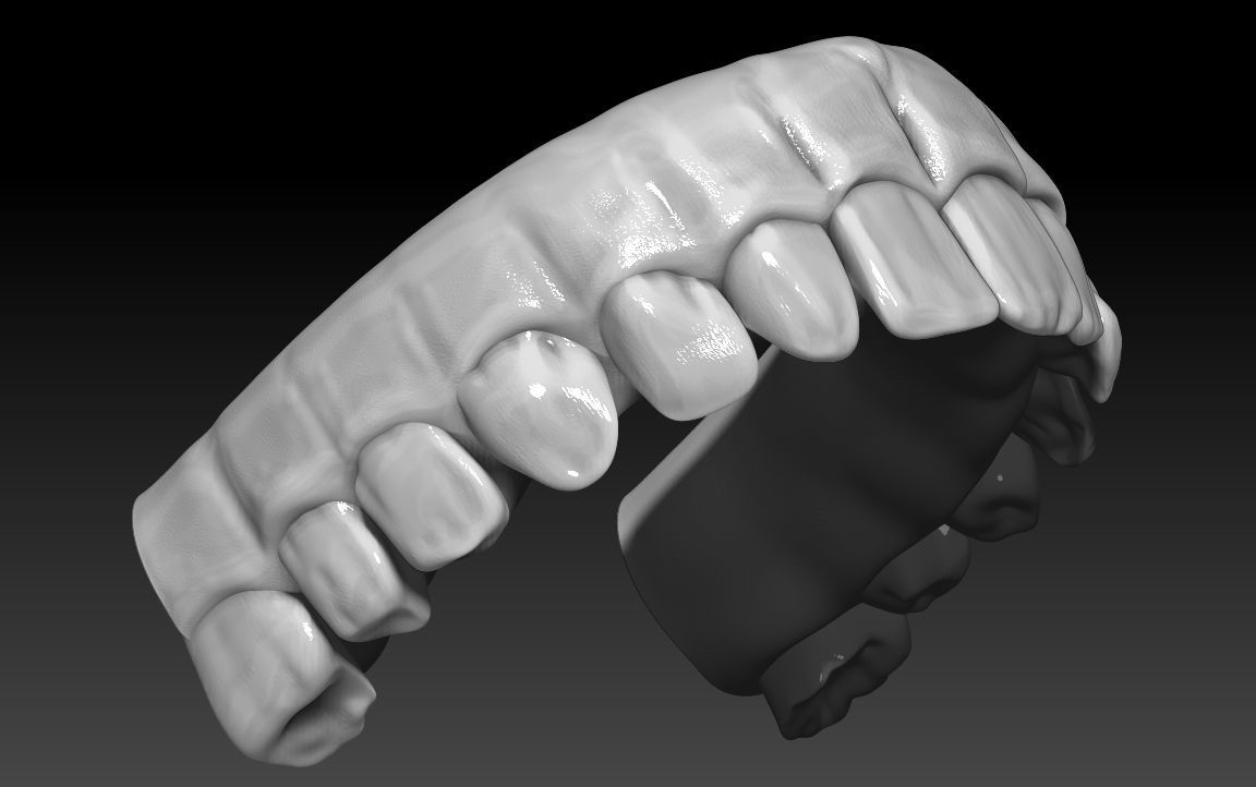 Teeth human mouth with Low-poly 3D model_7