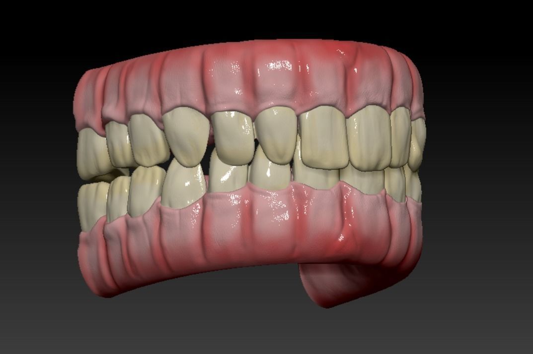Teeth human mouth with Low-poly 3D model_6