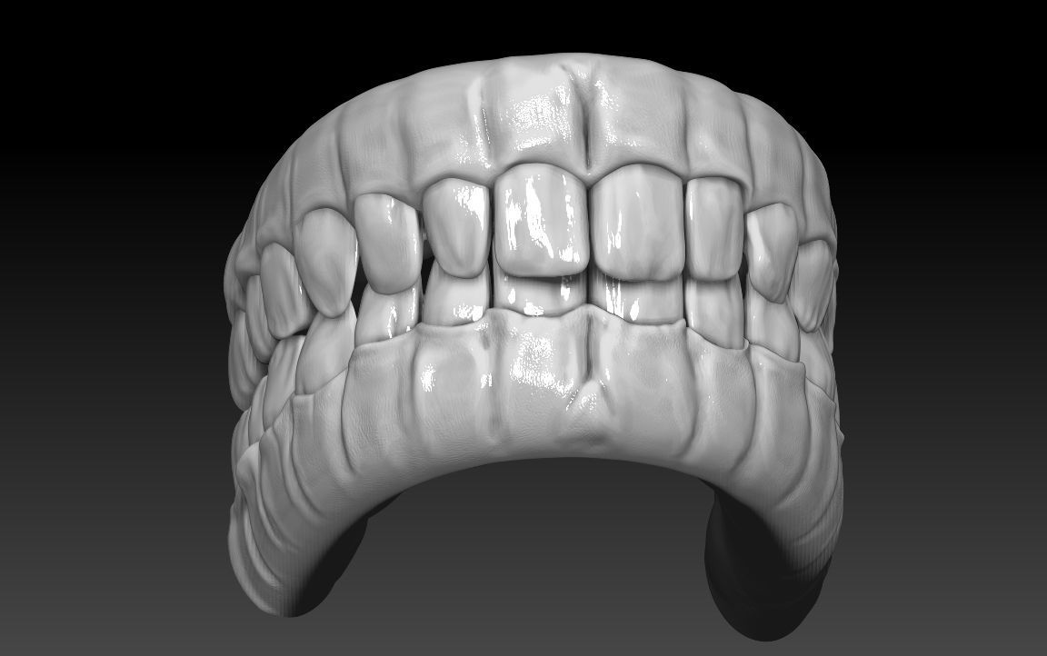 Teeth human mouth with Low-poly 3D model_8