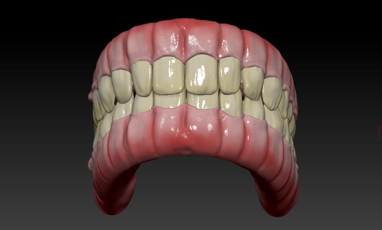 Teeth human mouth with Low-poly 3D model_3