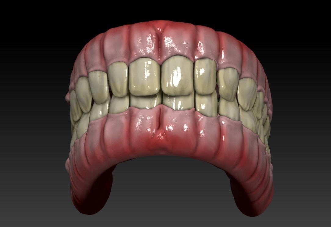 Teeth human mouth with Low-poly 3D model_4