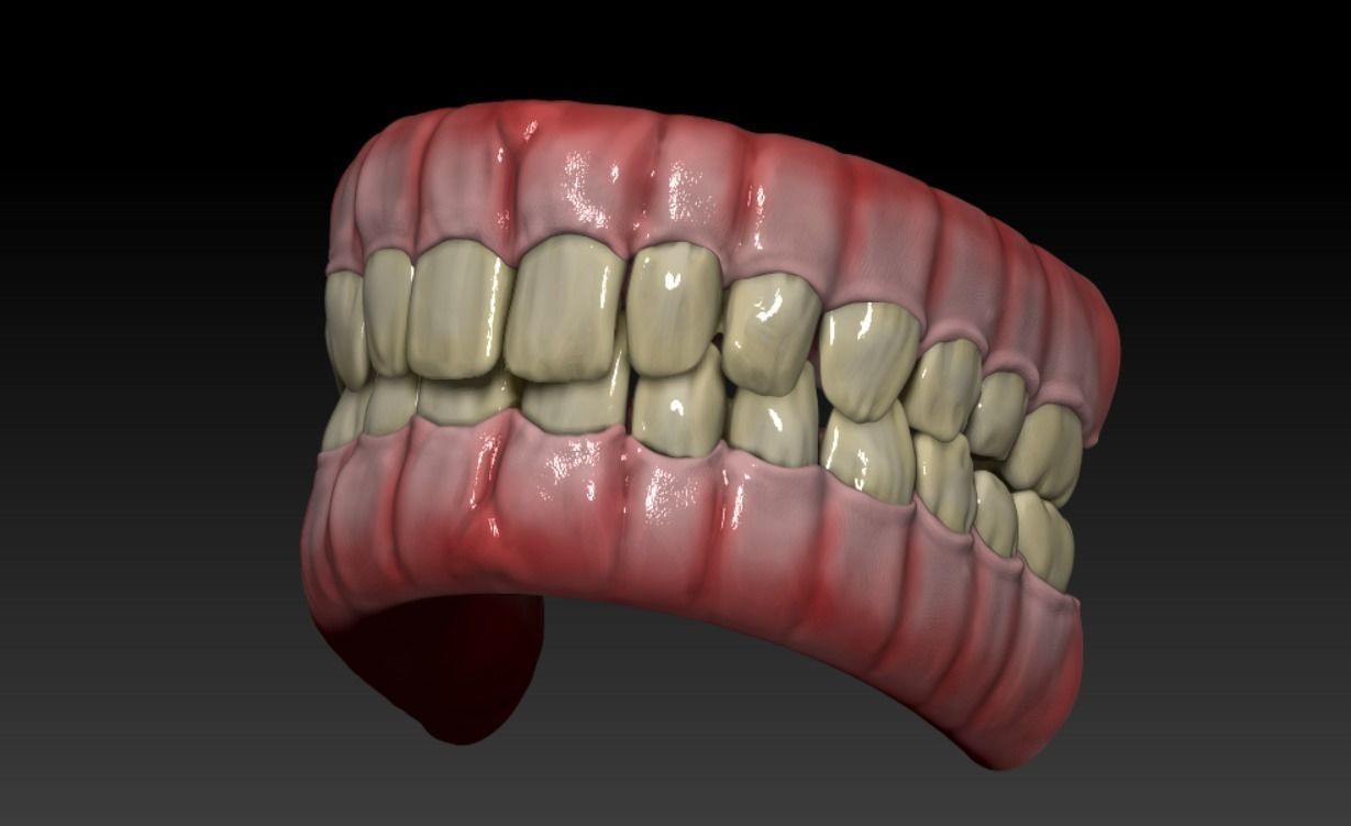 Teeth human mouth with Low-poly 3D model_5