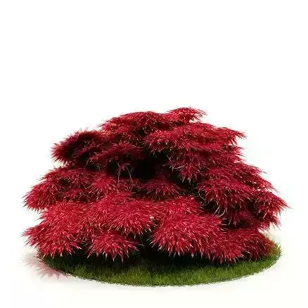 Red Bushy Plant 3D model