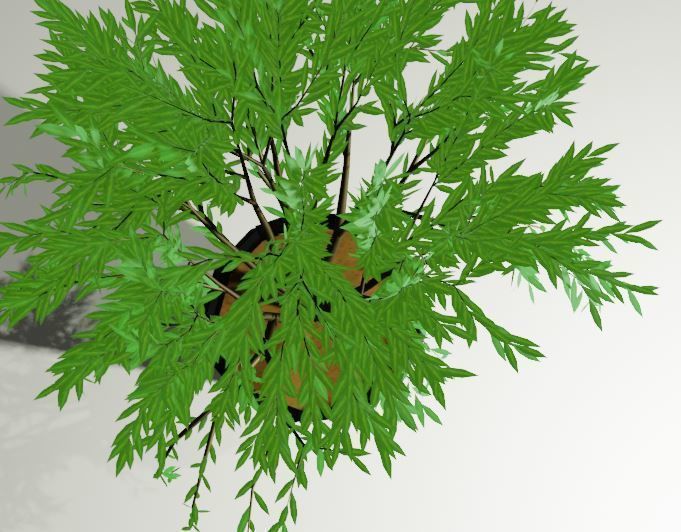 Plant in a Pot or a Sapling Tree High Quality Low-poly 3D model_9