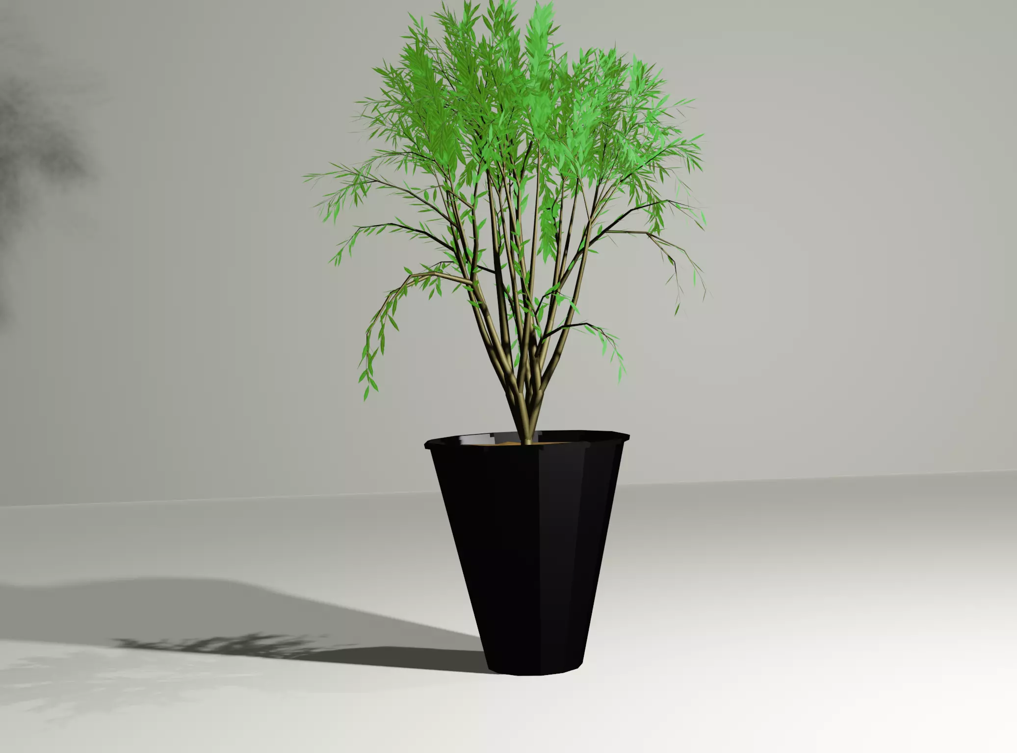 Plant in a Pot or a Sapling Tree High Quality Low-poly 3D model_0