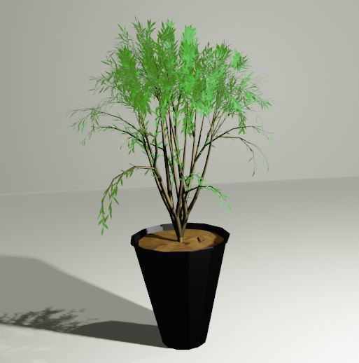 Plant in a Pot or a Sapling Tree High Quality Low-poly 3D model_3