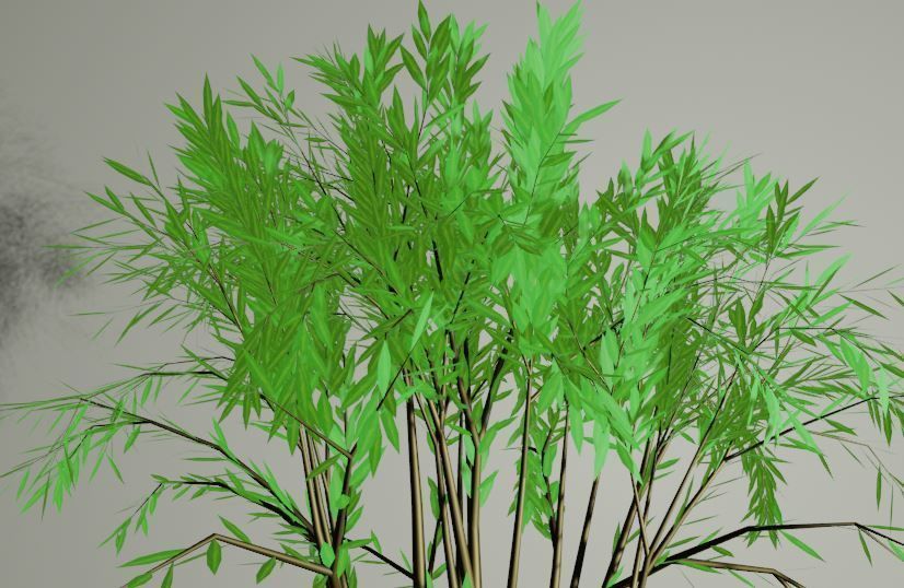Plant in a Pot or a Sapling Tree High Quality Low-poly 3D model_5