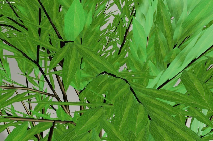 Plant in a Pot or a Sapling Tree High Quality Low-poly 3D model_6