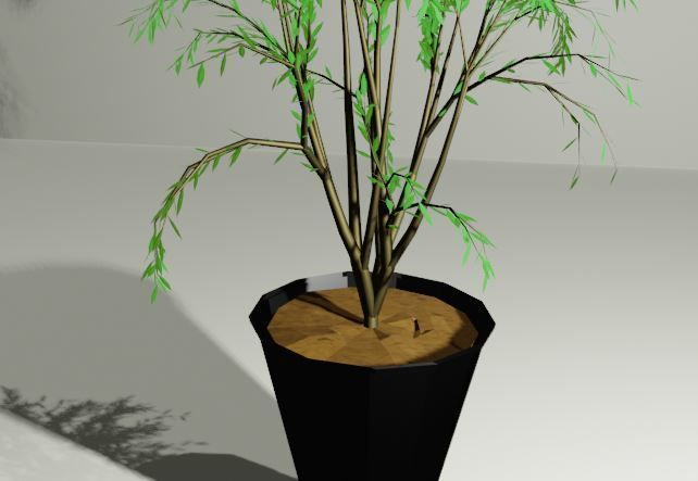 Plant in a Pot or a Sapling Tree High Quality Low-poly 3D model_2