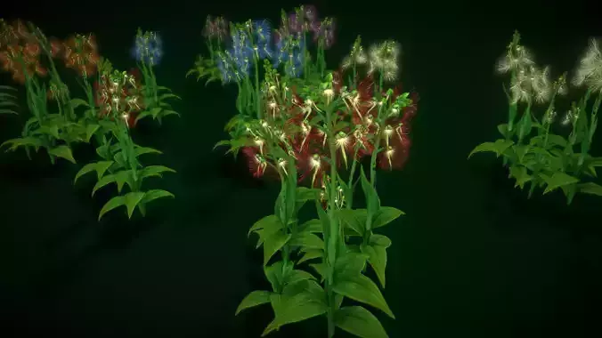  Flower Habenaria Medusa Low-poly 3D model