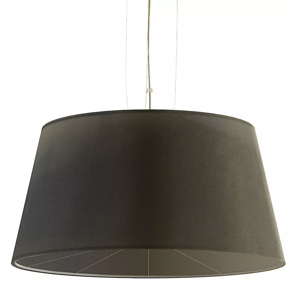 Pendant lamp Maytoni Calvin Ceiling 3D model_0