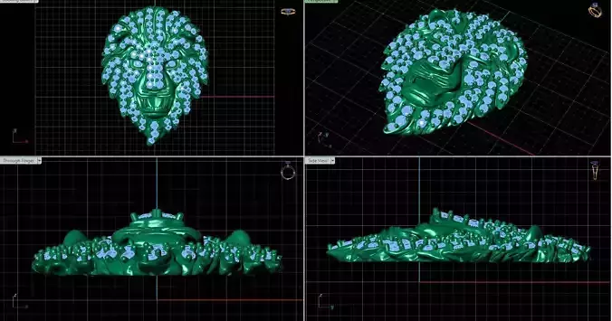 lion rhinoceros Files