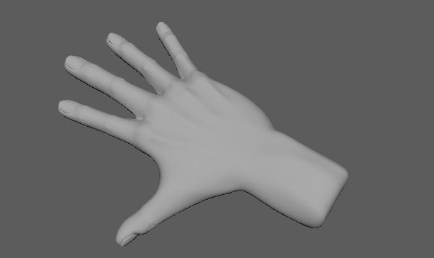 3D HAND MODEL Low-poly 3D model_6