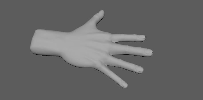 3D HAND MODEL Low-poly 3D model_4