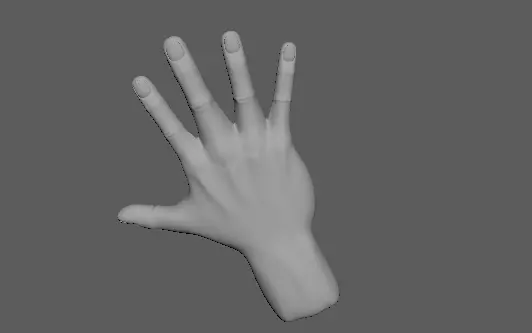3D HAND MODEL Low-poly 3D model_0