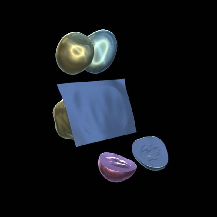 Package of Eggs 3D model_6