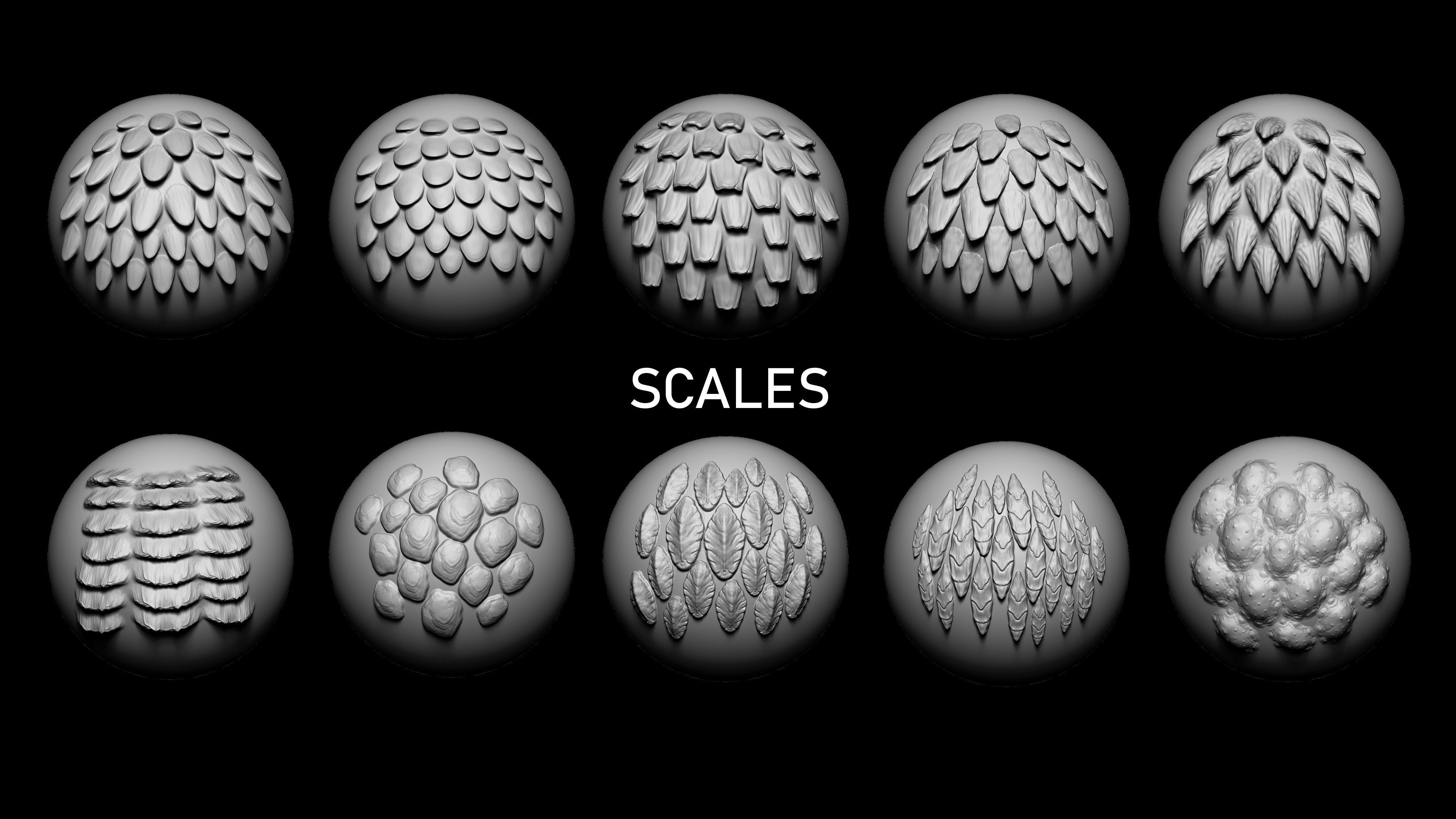 Zbrush and Blender - 100 Creature Brush Mega Pack 3D model | CGTrader