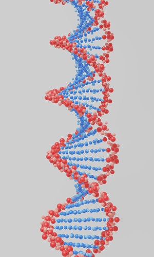 DNA Helix 3D model