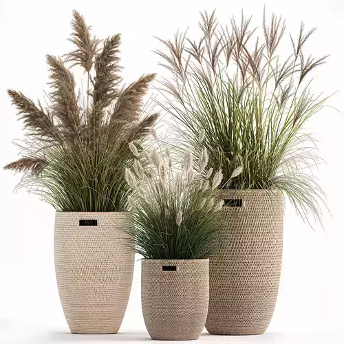 Ornamental plants in rattan baskets 1024 3D model