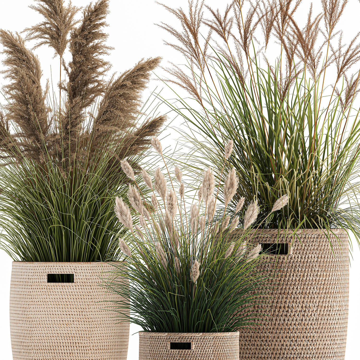 Ornamental plants in rattan baskets 1024 3D model_5