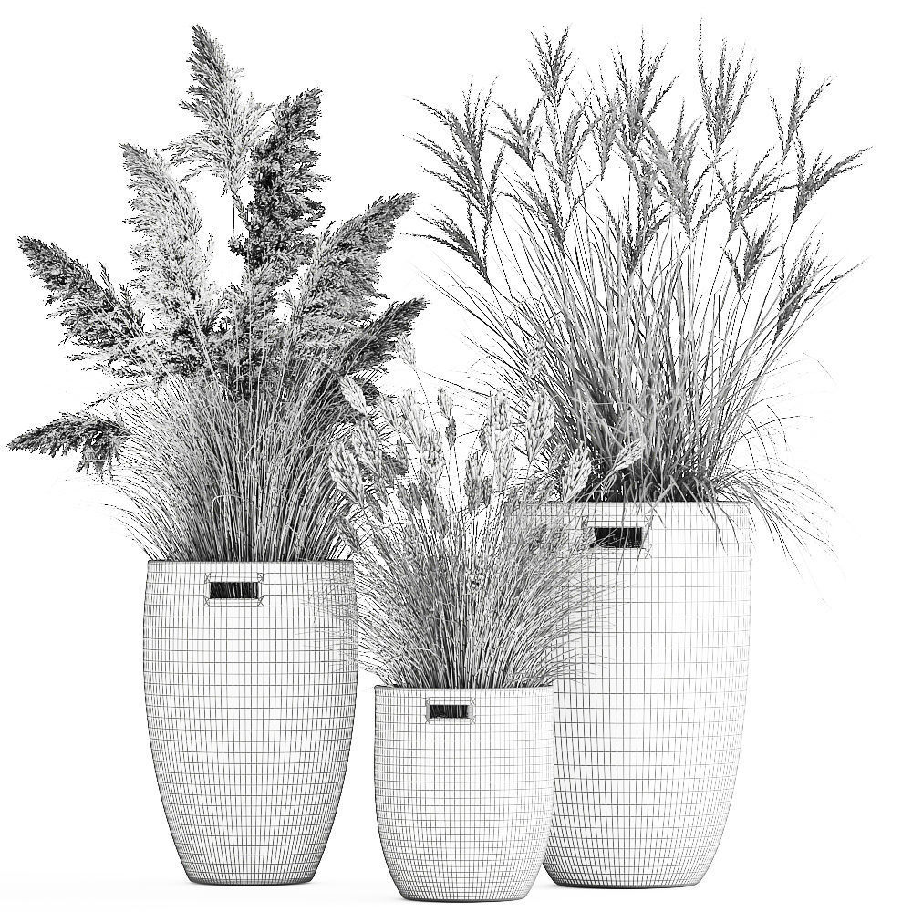 Ornamental plants in rattan baskets 1024 3D model_6