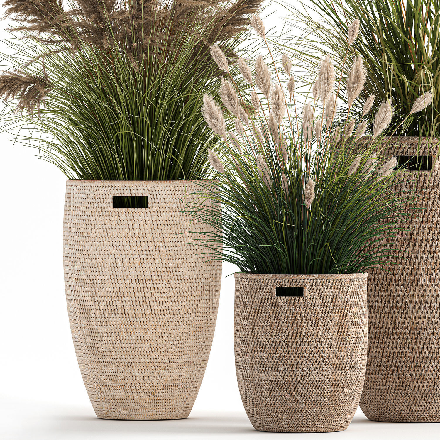 Ornamental plants in rattan baskets 1024 3D model_1