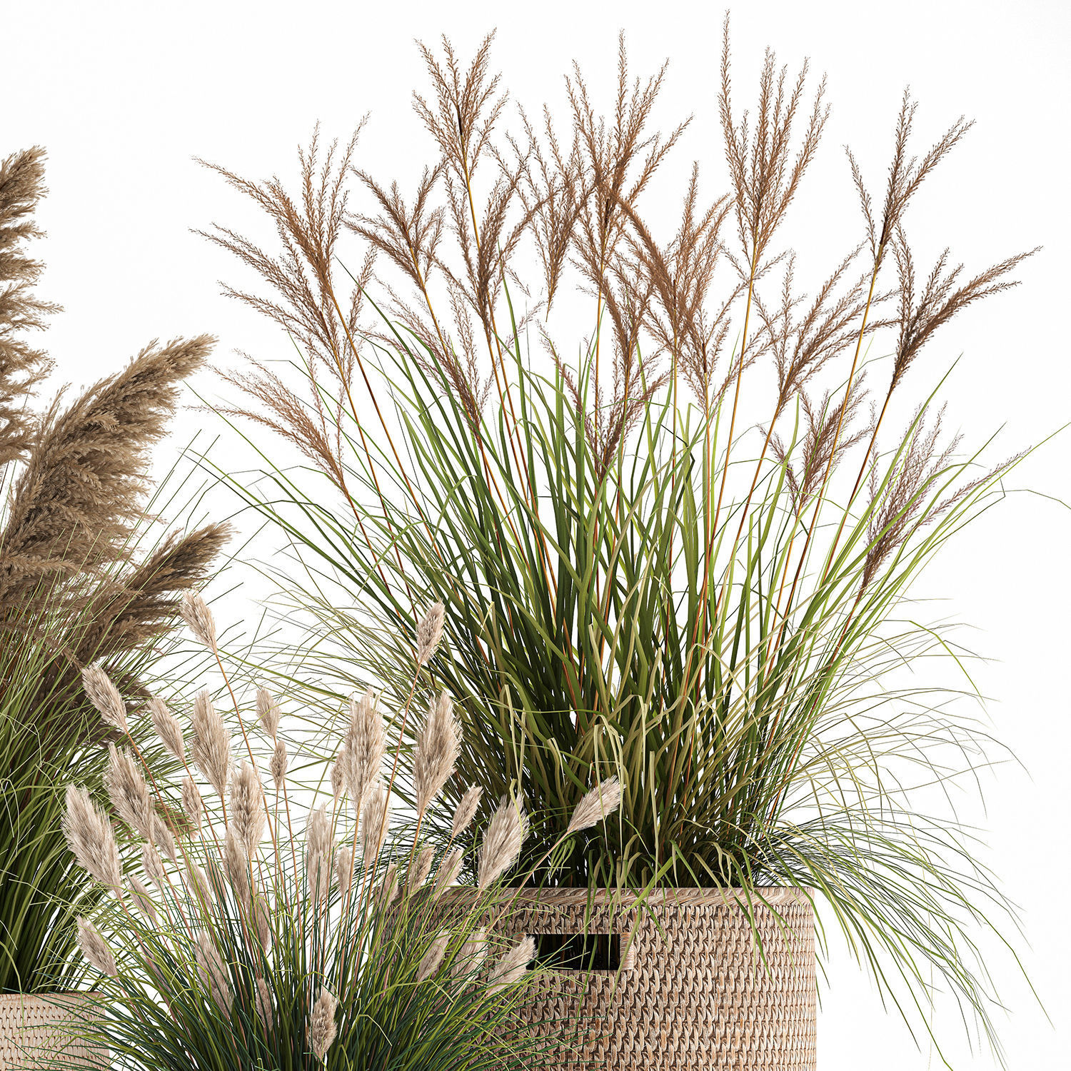 Ornamental plants in rattan baskets 1024 3D model_4