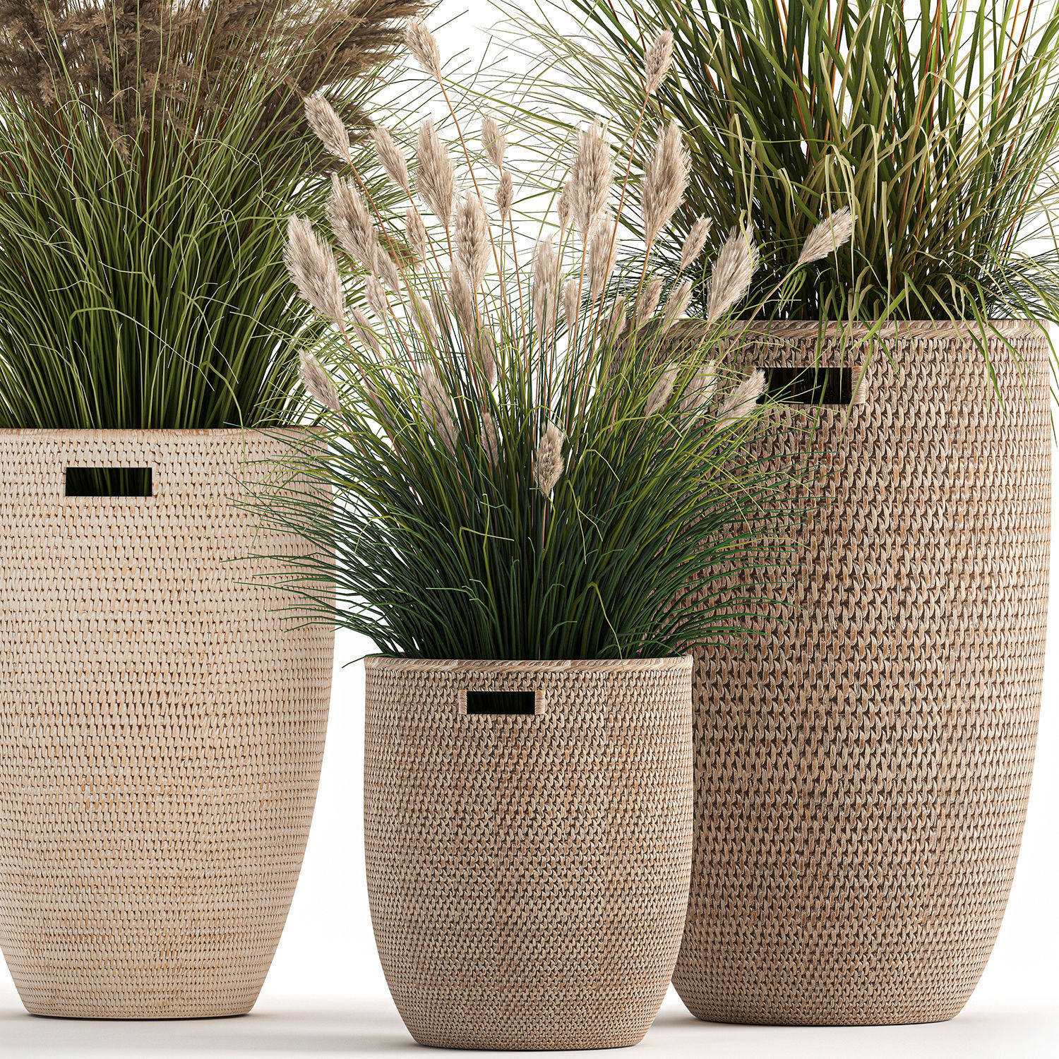 Ornamental plants in rattan baskets 1024 3D model_2