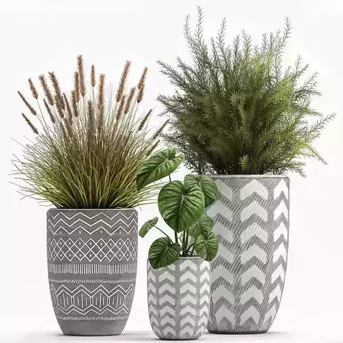Houseplants in a flowerpot for the interior 1025