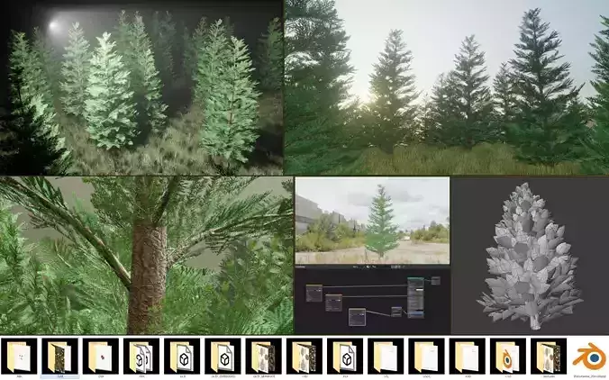 Silver Fir 20m Version