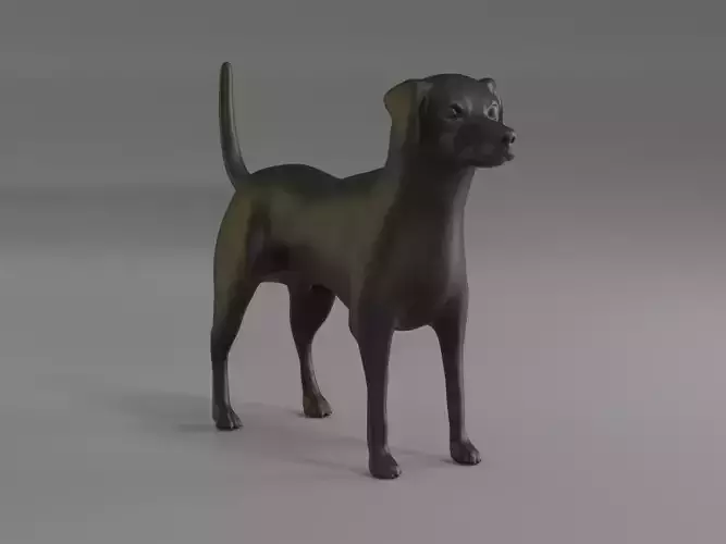 Dachshund with Pinscher Mix Dog 3D print model
