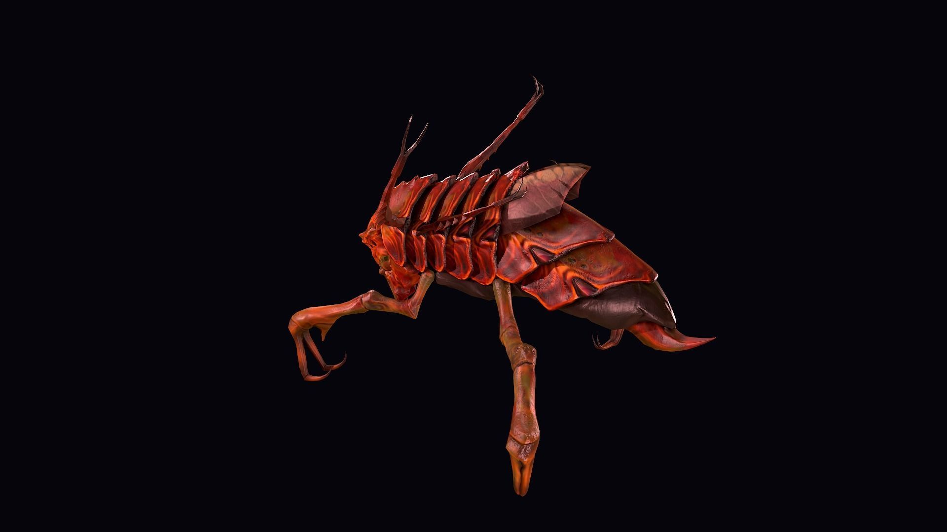 Baby Insect Low Low-poly 3D model_6