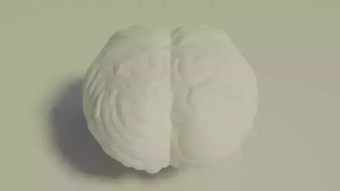 Simple Brain