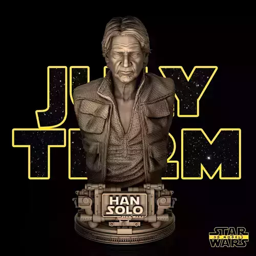 Han Solo Bust  - Tested and Ready for 3D printing 3D print model