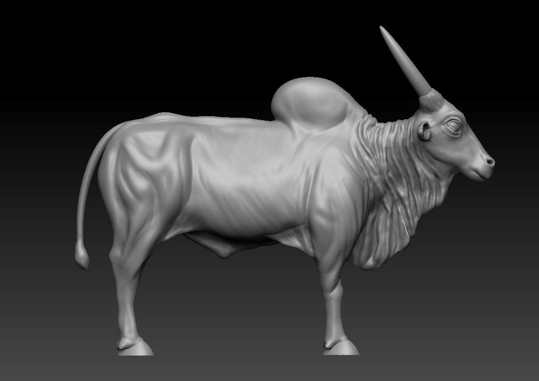 Indian Bull 3D model_6