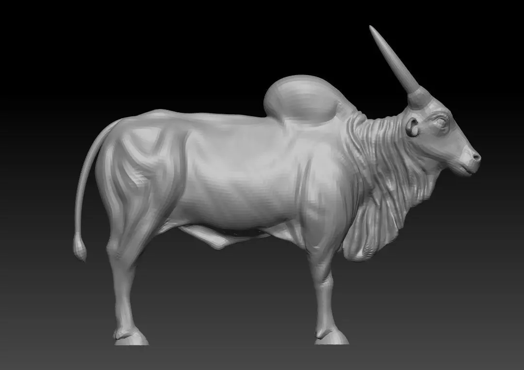Indian Bull 3D model_0
