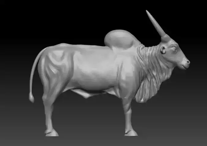 Indian Bull 3D model