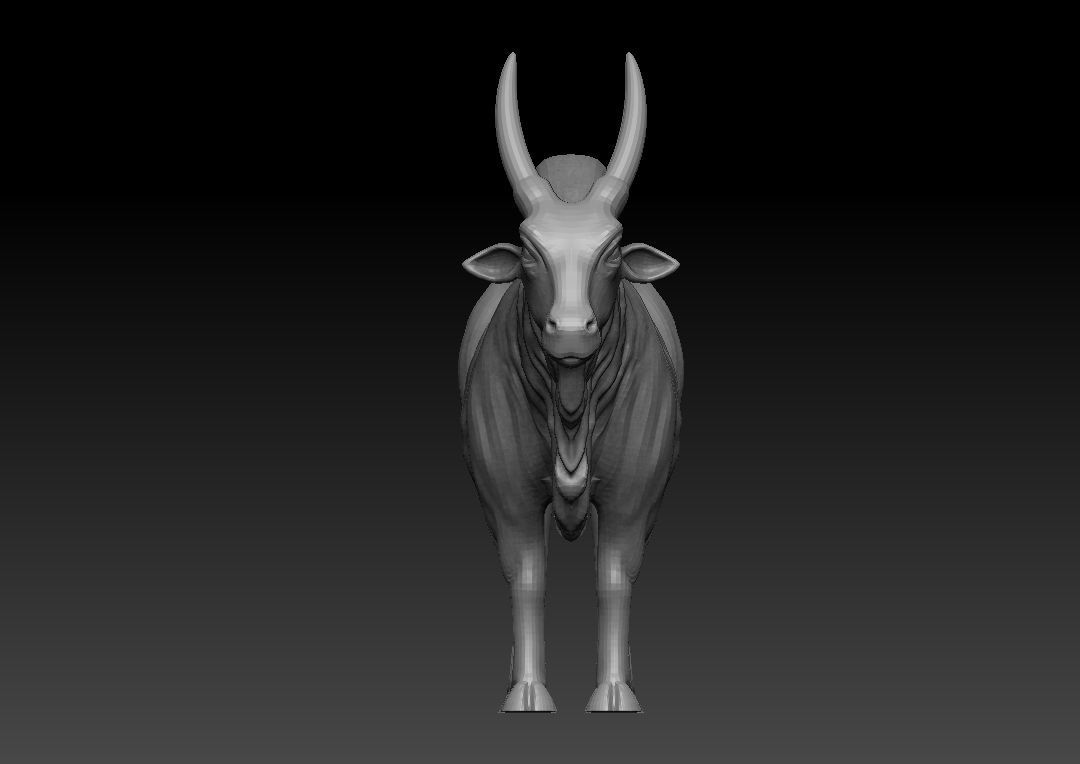 Indian Bull 3D model_4