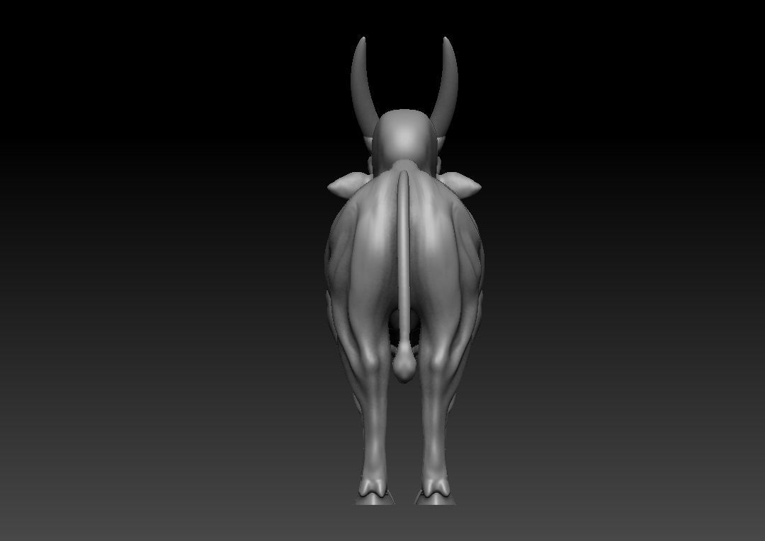Indian Bull 3D model_8