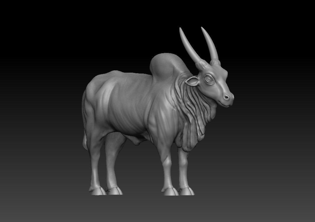 Indian Bull 3D model_3