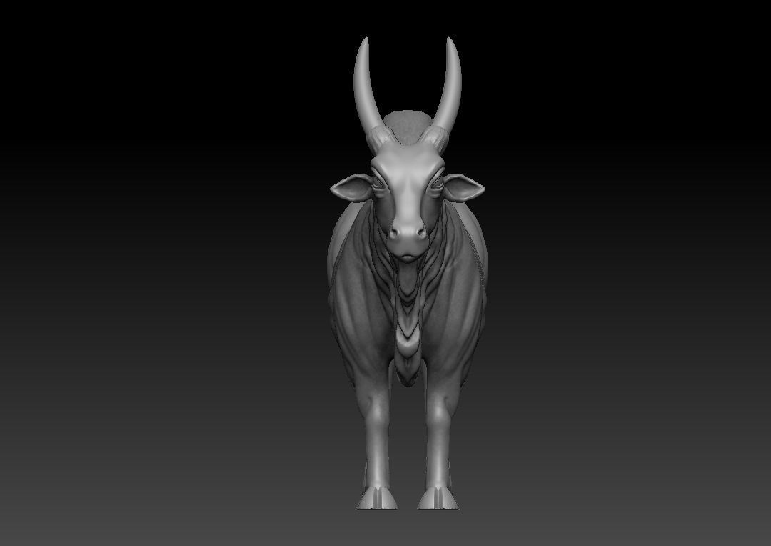 Indian Bull 3D model_7