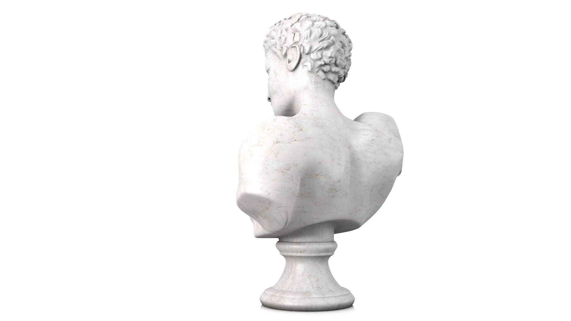 Classic male bust 3D model_4