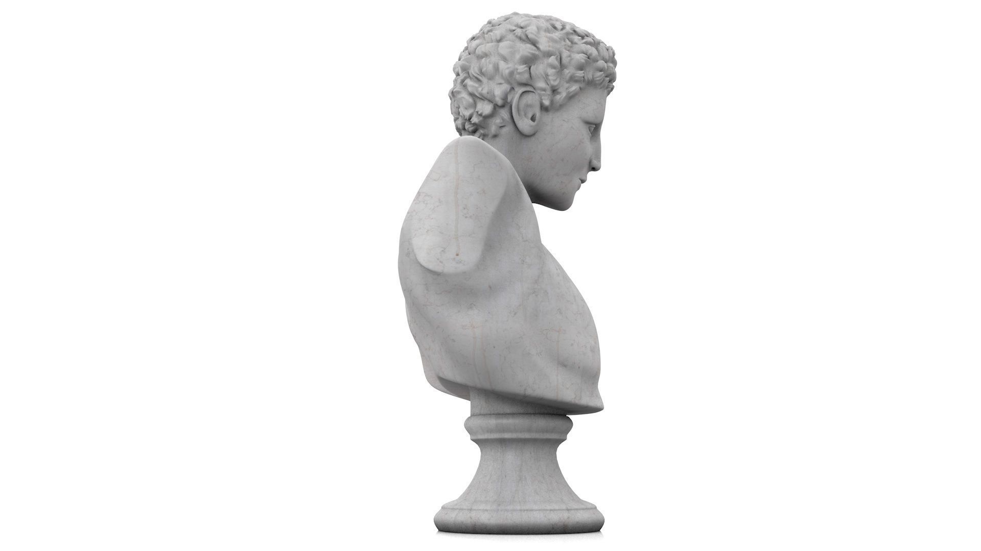 Classic male bust 3D model_6