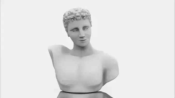 Classic male bust 3D model