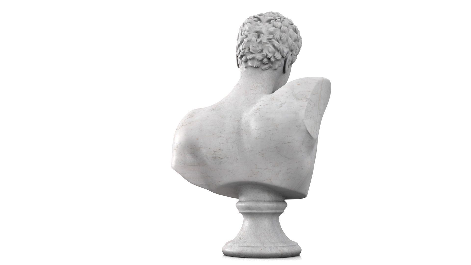 Classic male bust 3D model_5