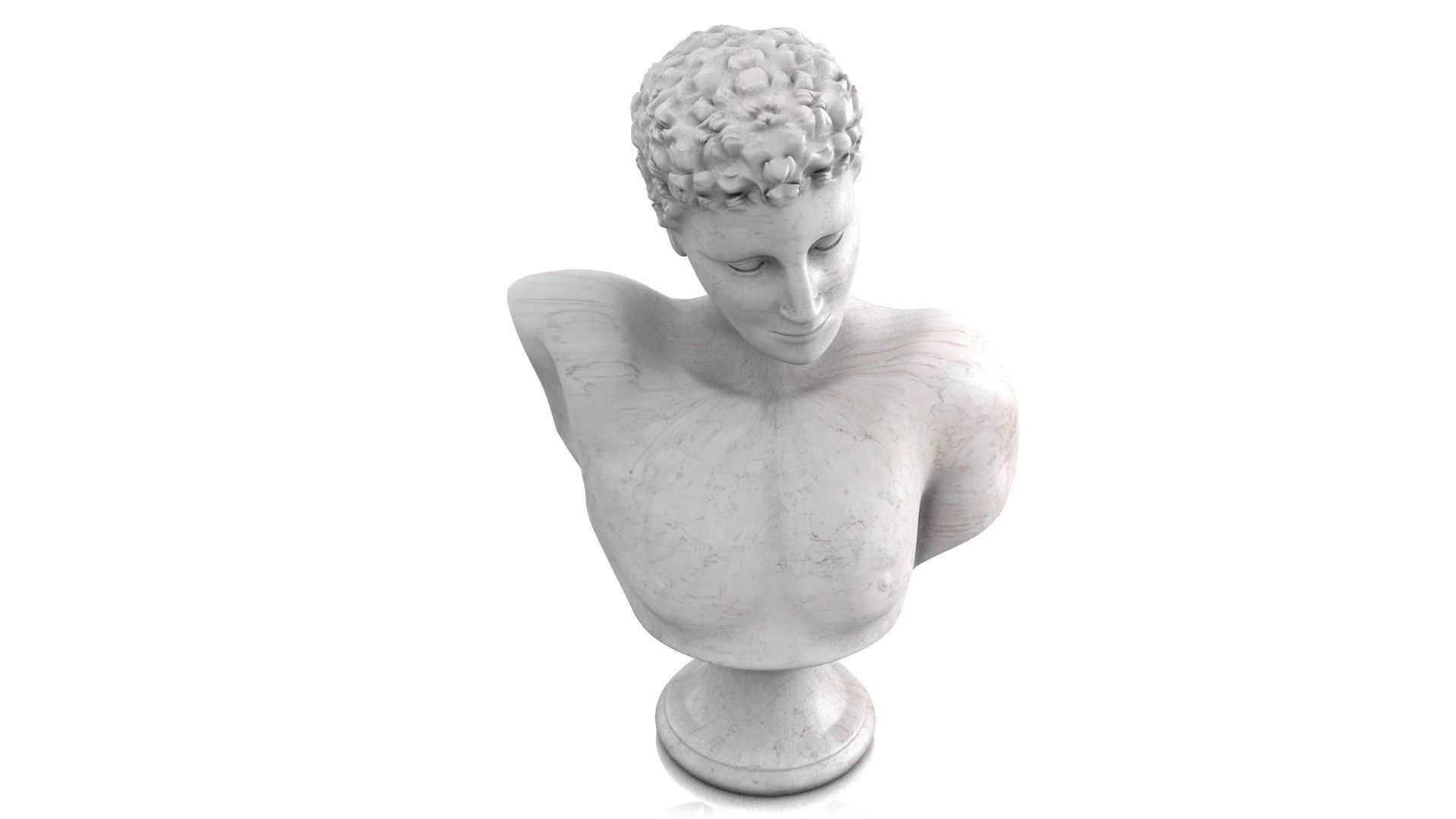 Classic male bust 3D model_8