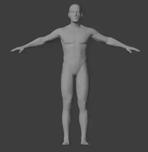 Human Figure Fully Rigged