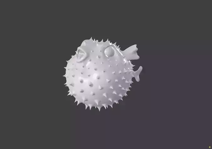 Puffer fish